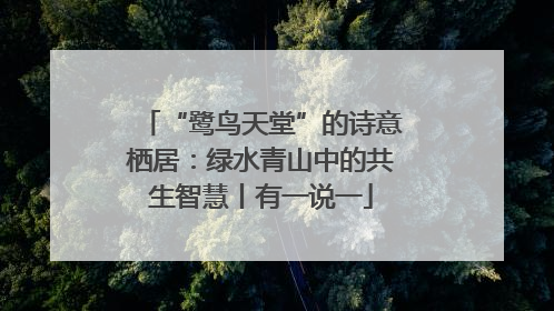 “鹭鸟天堂”的诗意栖居：绿水青山中的共生智慧丨有一说一