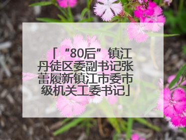 “80后”镇江丹徒区委副书记张蕾履新镇江市委市级机关工委书记