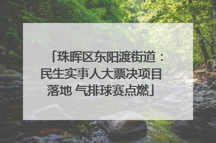 珠晖区东阳渡街道：民生实事人大票决项目落地 气排球赛点燃