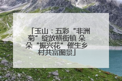 玉山：五彩“非洲菊”绽放横街镇 朵朵“振兴花”催生乡村共富图景