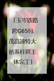 玉岑铁路跨G65包茂高速特大桥系杆拱主体完工