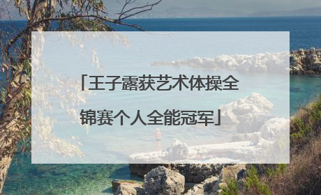 王子露获艺术体操全锦赛个人全能冠军