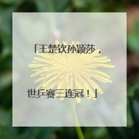 王楚钦孙颖莎，世乒赛三连冠！