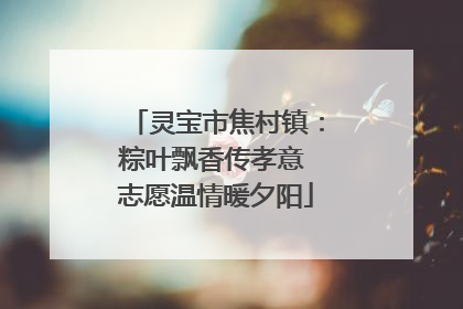 灵宝市焦村镇：粽叶飘香传孝意 志愿温情暖夕阳