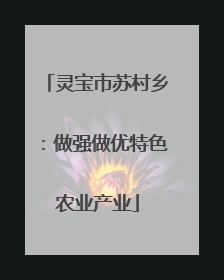 灵宝市苏村乡：做强做优特色农业产业