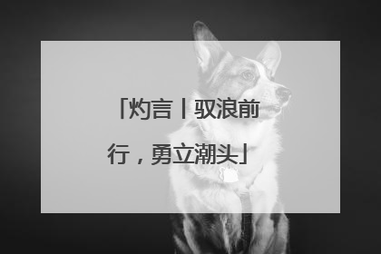 灼言丨驭浪前行，勇立潮头
