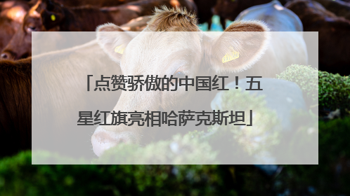 点赞骄傲的中国红！五星红旗亮相哈萨克斯坦