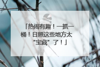 热闹有趣！一抓一桶！日照这些地方太“宝藏”了！