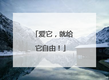 爱它，就给它自由！