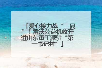 爱心接力战“三夏”！雷沃公益机收开进山东重工派驻“第一书记村”