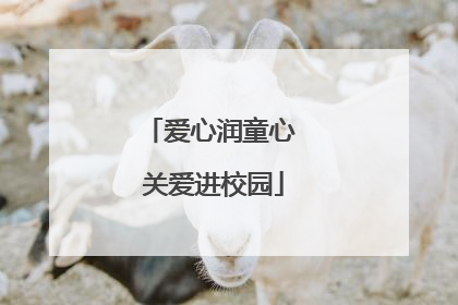 爱心润童心 关爱进校园