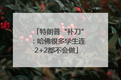 特朗普“补刀”：哈佛很多学生连2+2都不会做