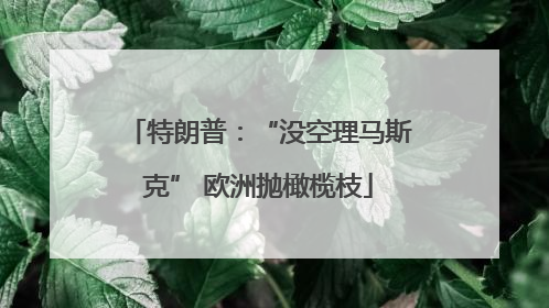 特朗普：“没空理马斯克” 欧洲抛橄榄枝
