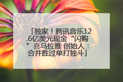 独家！腾讯音乐12.6亿美元现金“闪购”喜马拉雅 创始人：合并胜过单打独斗