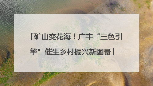 矿山变花海！广丰“三色引擎”催生乡村振兴新图景