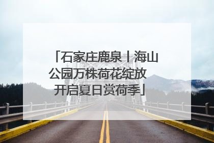 石家庄鹿泉丨海山公园万株荷花绽放 开启夏日赏荷季