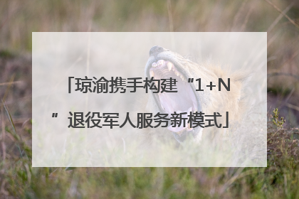 琼渝携手构建“1+N”退役军人服务新模式