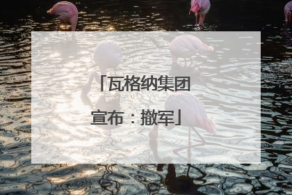 瓦格纳集团宣布：撤军