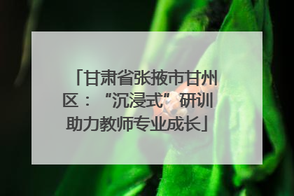 甘肃省张掖市甘州区：“沉浸式”研训助力教师专业成长