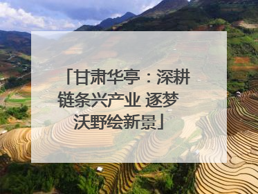 甘肃华亭：深耕链条兴产业 逐梦沃野绘新景