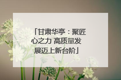 甘肃华亭：聚匠心之力 高质量发展迈上新台阶