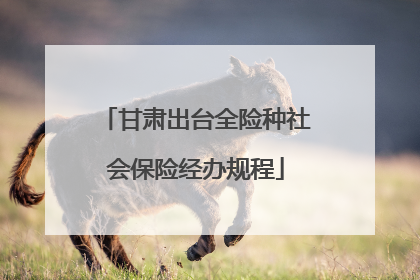 甘肃出台全险种社会保险经办规程