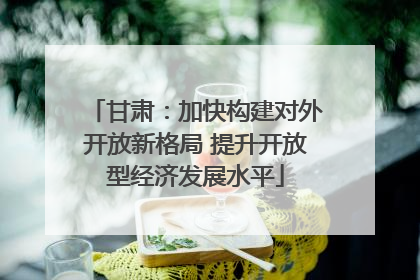 甘肃：加快构建对外开放新格局 提升开放型经济发展水平