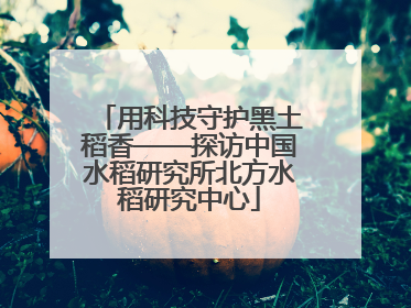 用科技守护黑土稻香——探访中国水稻研究所北方水稻研究中心