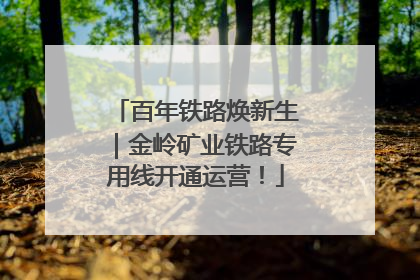 百年铁路焕新生｜金岭矿业铁路专用线开通运营！