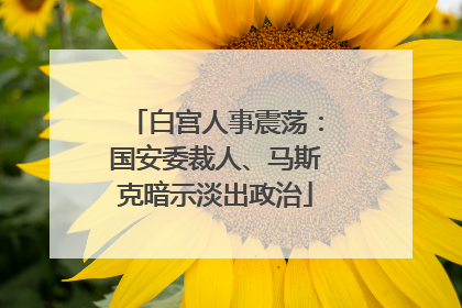 白宫人事震荡：国安委裁人、马斯克暗示淡出政治