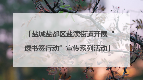盐城盐都区盐渎街道开展“绿书签行动”宣传系列活动