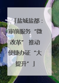 盐城盐都：审前服务“微改革” 推动便捷办证“大提升”