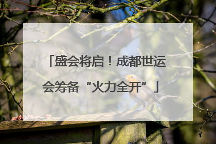 盛会将启！成都世运会筹备“火力全开”