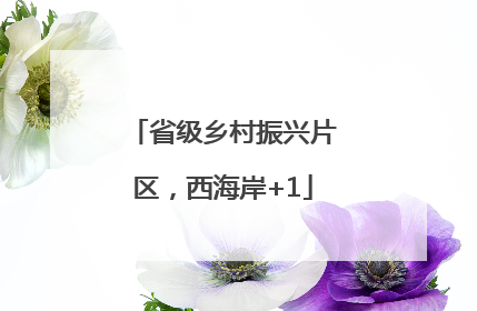 省级乡村振兴片区，西海岸+1
