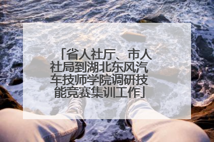 省人社厅、市人社局到湖北东风汽车技师学院调研技能竞赛集训工作