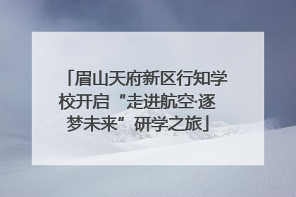 眉山天府新区行知学校开启“走进航空·逐梦未来”研学之旅