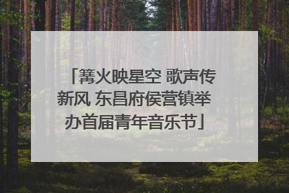 篝火映星空 歌声传新风 东昌府侯营镇举办首届青年音乐节