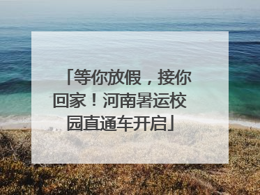 等你放假，接你回家！河南暑运校园直通车开启
