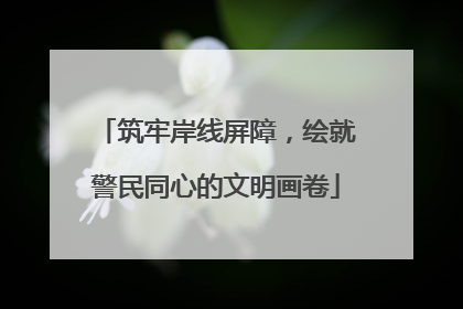 筑牢岸线屏障，绘就警民同心的文明画卷