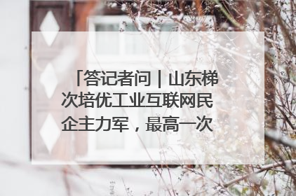 答记者问｜山东梯次培优工业互联网民企主力军，最高一次性奖补500万元