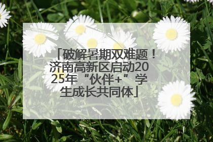 破解暑期双难题！济南高新区启动2025年“伙伴+”学生成长共同体