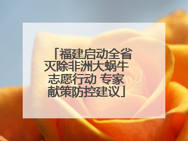 福建启动全省灭除非洲大蜗牛志愿行动 专家献策防控建议