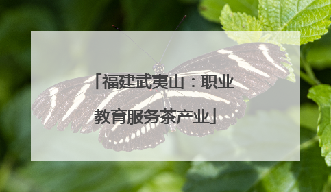 福建武夷山：职业教育服务茶产业