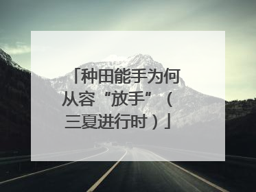 种田能手为何从容“放手”（三夏进行时）
