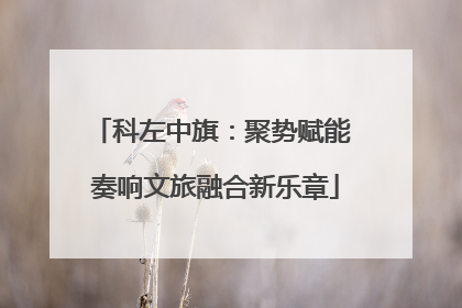 科左中旗：聚势赋能 奏响文旅融合新乐章