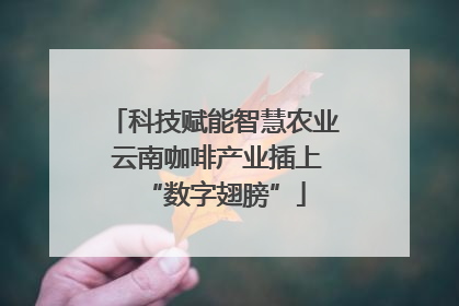 科技赋能智慧农业 云南咖啡产业插上“数字翅膀”