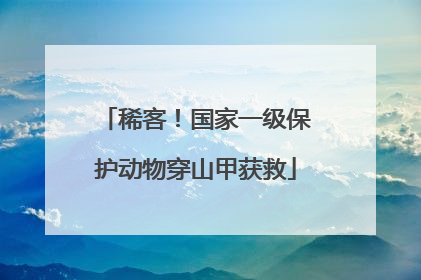 稀客！国家一级保护动物穿山甲获救