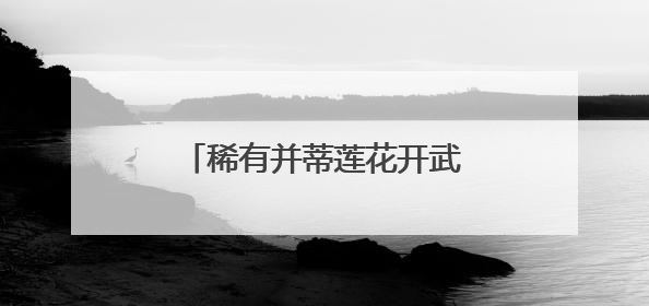 稀有并蒂莲花开武汉，今夏全城28处公园点位可赏荷