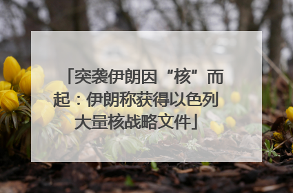 突袭伊朗因“核”而起：伊朗称获得以色列大量核战略文件