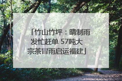 竹山竹坪：晴制雨发忙赶单 57吨大宗茶冒雨启运福建